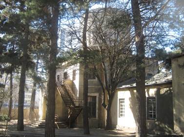 Description: IMG_0181